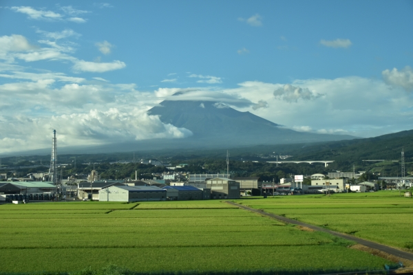 2019-08-13 東京一日目 710.JPG