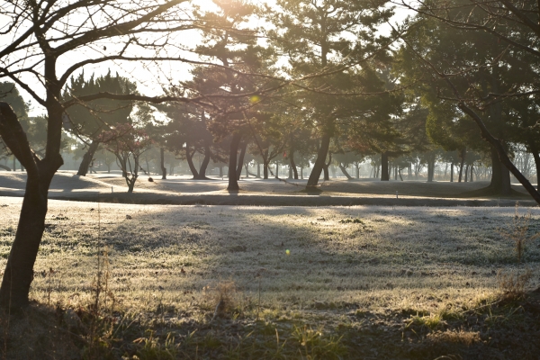 2020-01-06 Ä«¤Î»¶Êâ 016.JPG