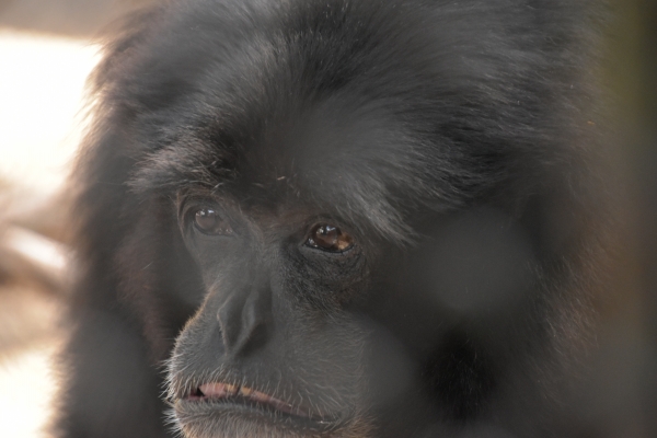 2020-09-14 池田動物園 045.JPG