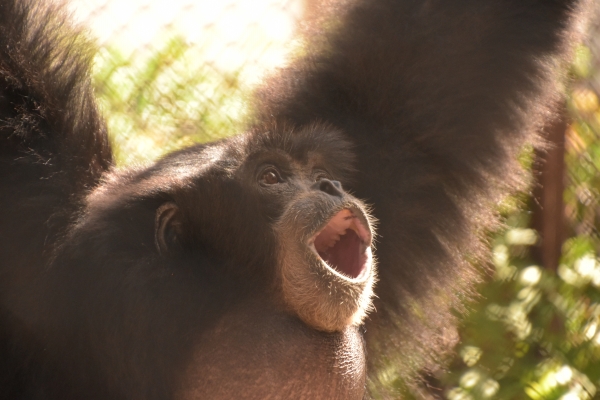2020-09-14 池田動物園 033.JPG