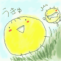 うきゅ