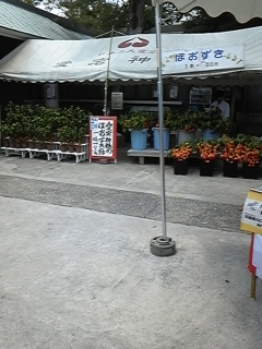 DVC00183.jpg