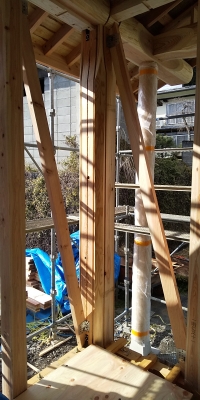 20190117_1924199.jpg