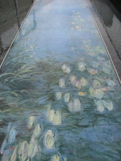 睡蓮・朝