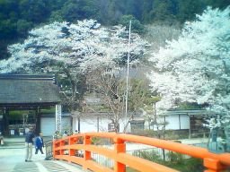 室生寺門前