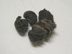甘茶