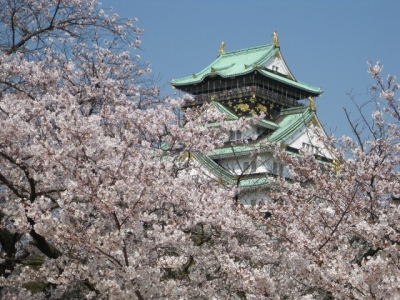 大阪城と桜 2