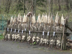 ヌササン(祭壇)