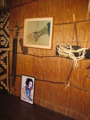 展示物