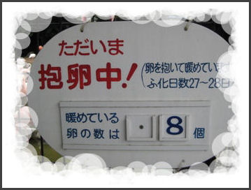 説明板