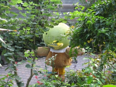 マスコットキャラクター,たみまる1
