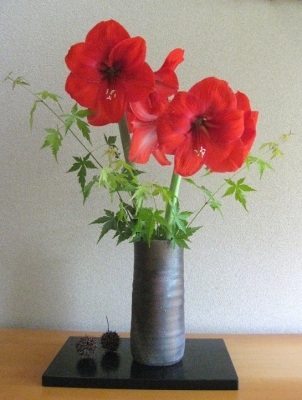 真紅のアマリリス 生け花