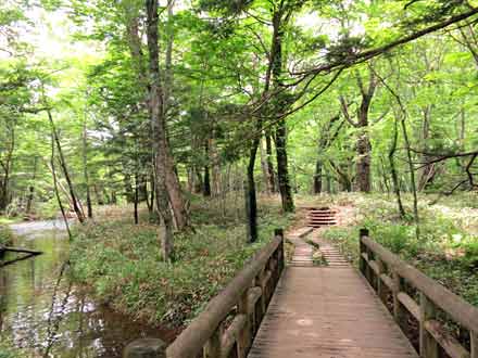 湯滝→泉門池 遊歩道