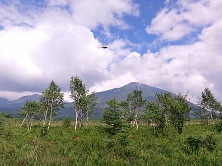 戦場ヶ原