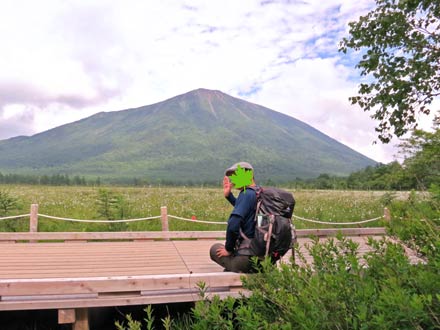 ワタスゲの群生と男体山