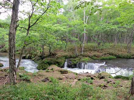 赤沼→龍頭ノ滝 遊歩道