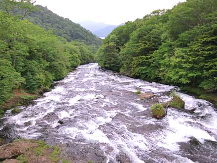 龍頭橋から見た龍頭ノ滝