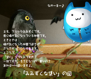 集いなみみずく