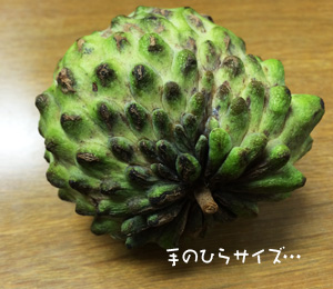アテモヤ実
