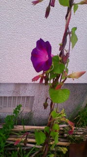 20080824164104.jpg