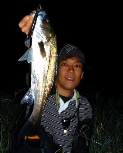 sekiue