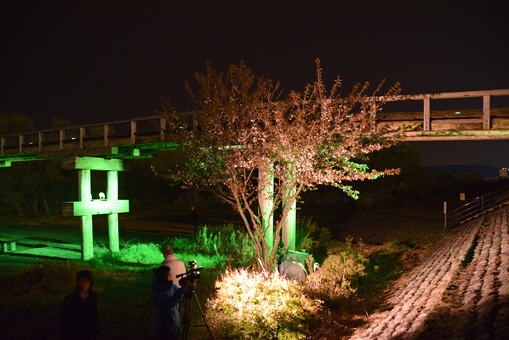 DSC_0443-2.jpg