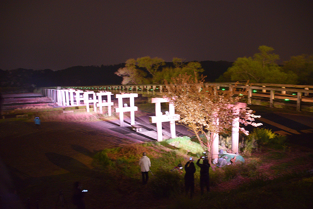 DSC_0446-2.jpg