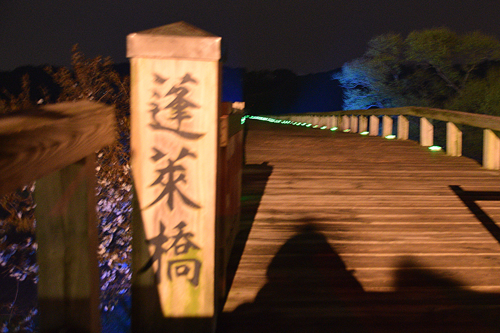 DSC_0447-2.jpg