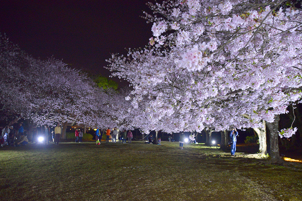 DSC_0489-2.jpg