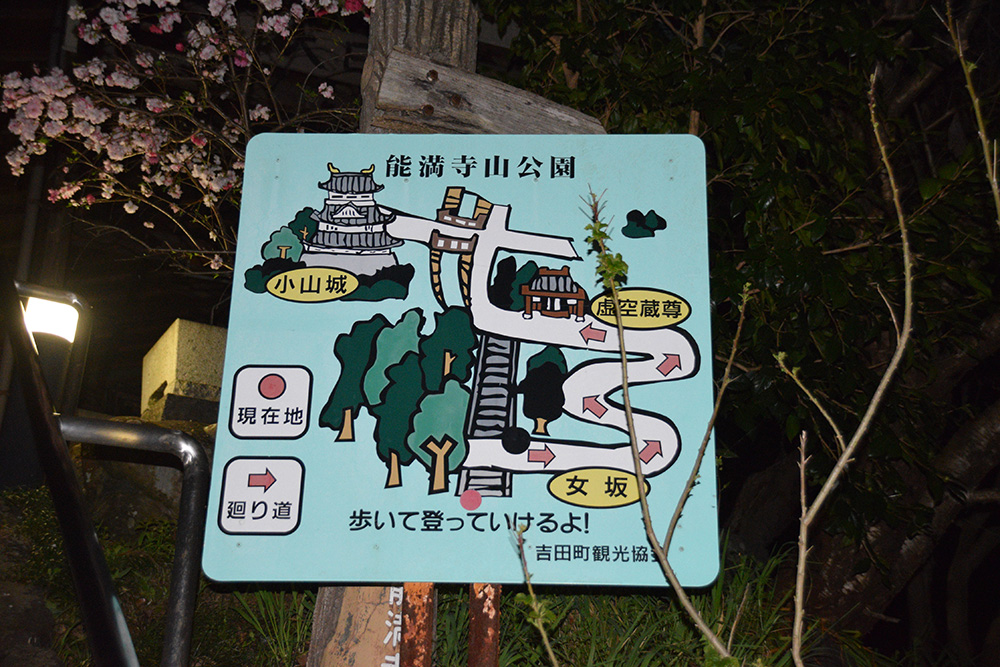 DSC_0558-2.jpg