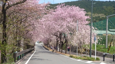 川根 徳山.jpg