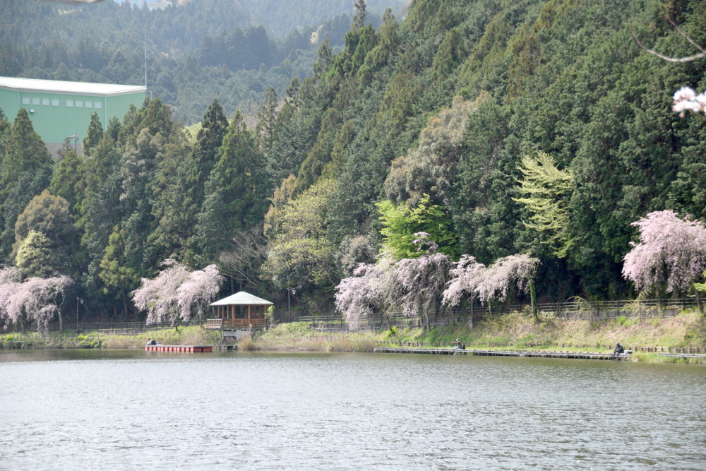DSC_0411-2.JPG