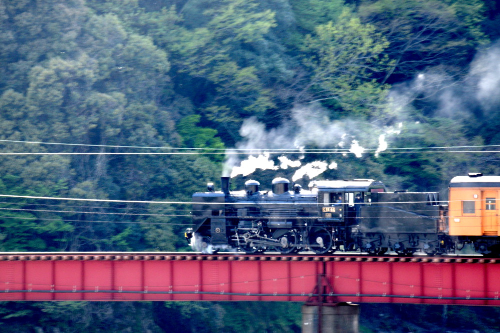 DSC_0459-2.JPG