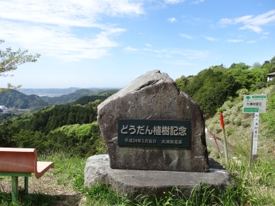 DSC04703.JPG