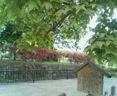 公園