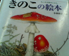 きのこ絵本