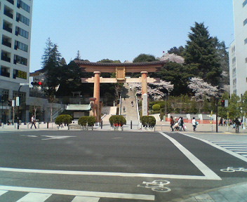 春