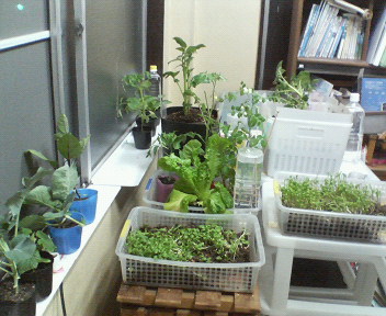 植物園