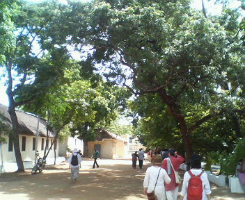 インド