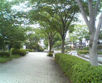 美術館