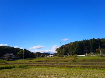 美術館