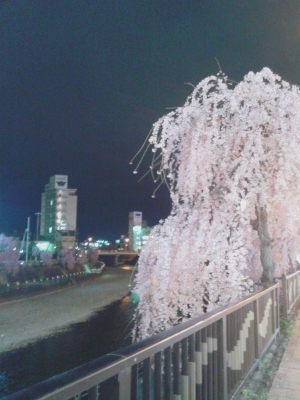 しだれ