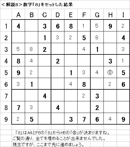 解説8−20090621