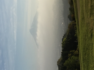 IMG_1250.JPG