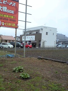 100307_1235~0001.JPG