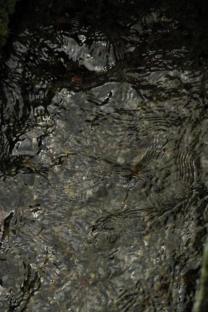 地蔵川流水面