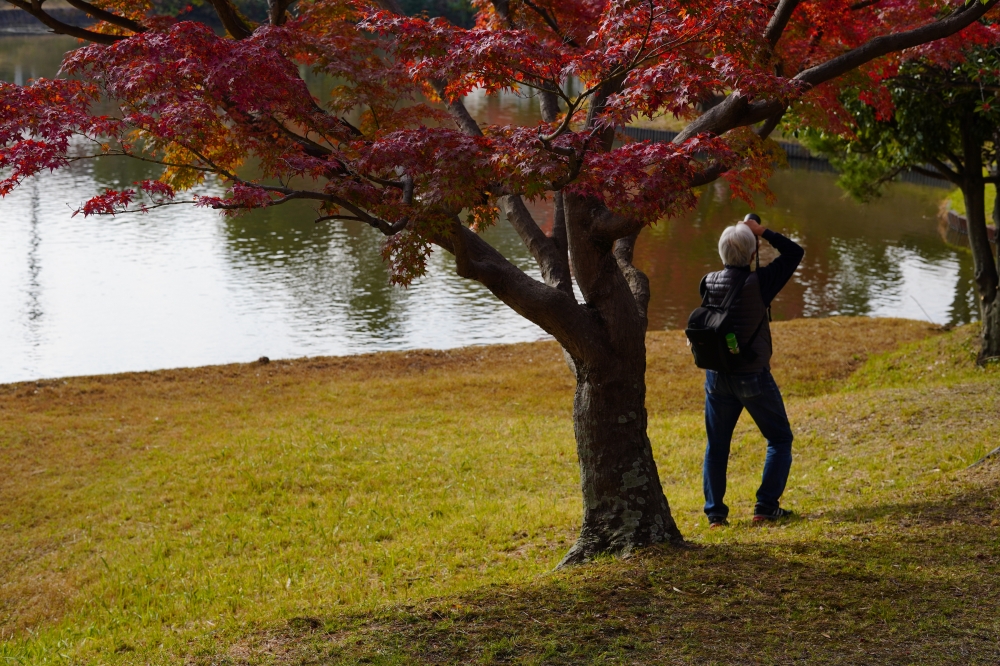 2023年11月の記事 | Fum's Photo -休日写真館-