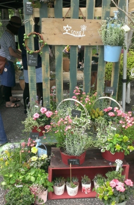 IMAG0632_1.jpg