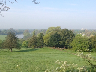 これぞイギリスの田園風景。      &