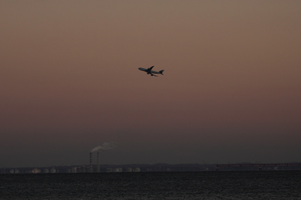 IMG_4440dpp990.JPG